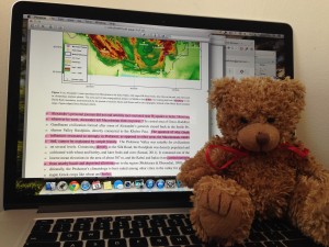 Photo by Vidushi Sharma Sometimes, you need a little help to get over humps in the research process.