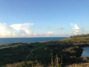 Low-lying, wind-resistant vegetation thrives on the island's sandy cliffs. 