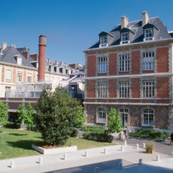 Image courtesy of Institut Pasteur