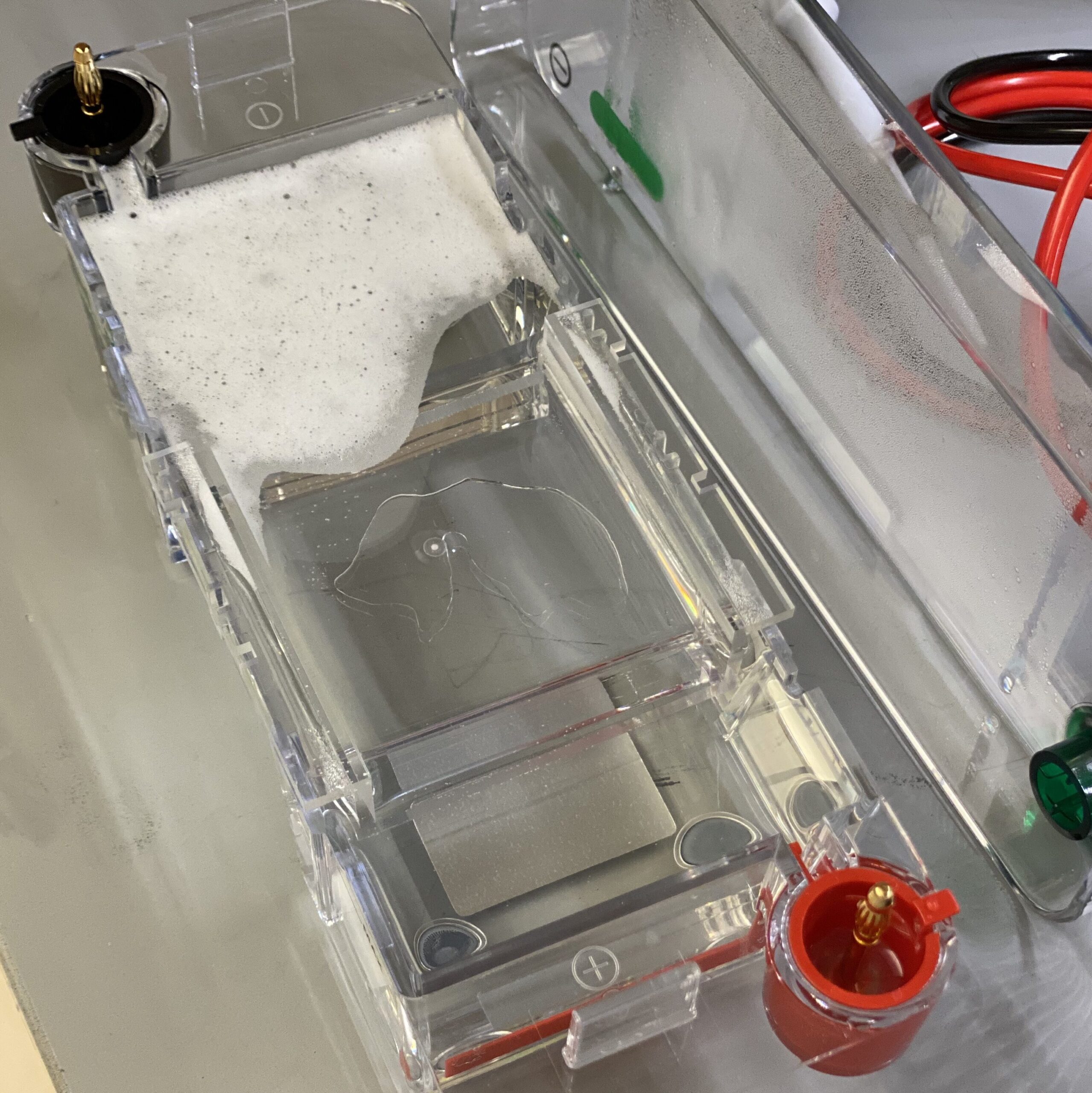 Photo depicts melted gelatin gel