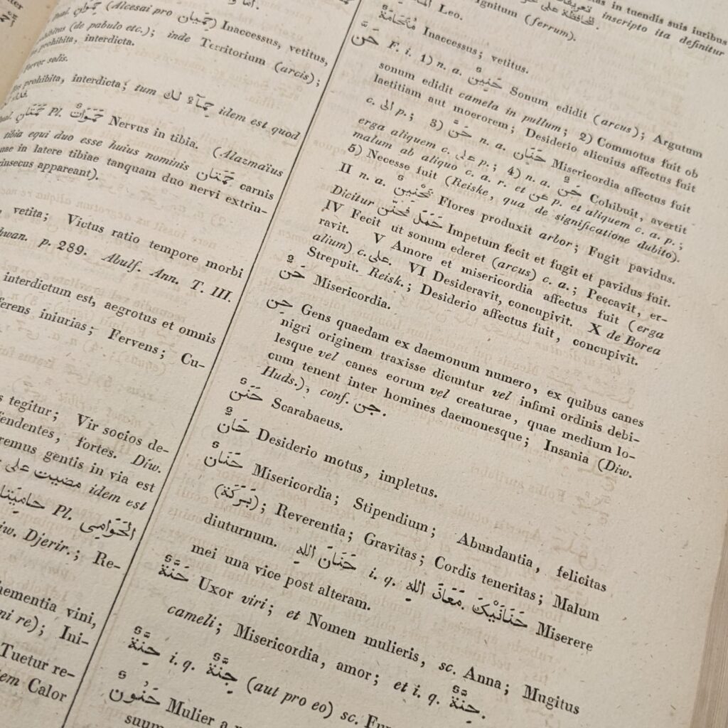 Picture shows a page from an Arabic-Latin dictionary