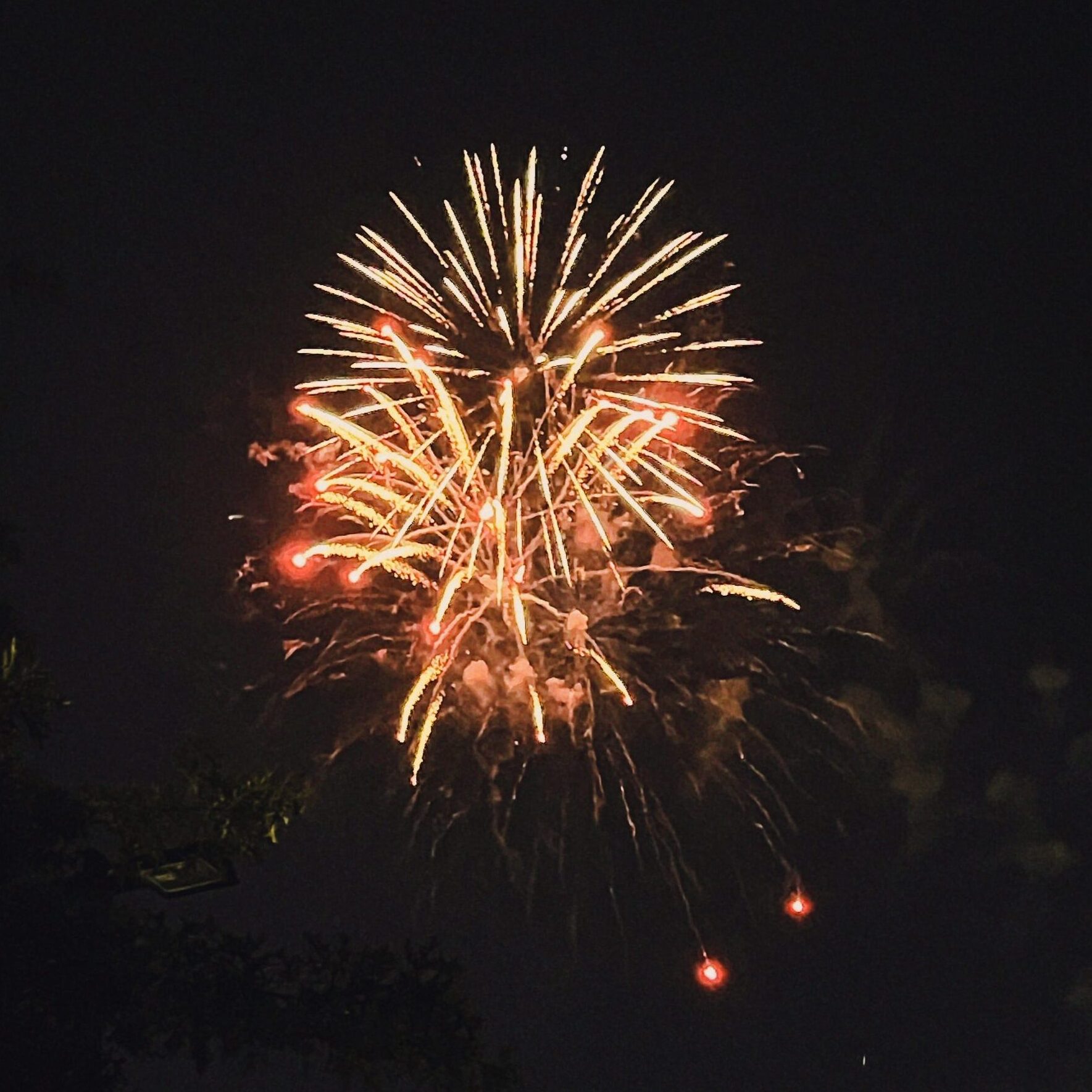 Yellow/orange fireworks against a black night sky on Princeton's campus in summer 2024.